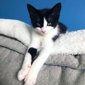 Meet your Posher, Katelyn